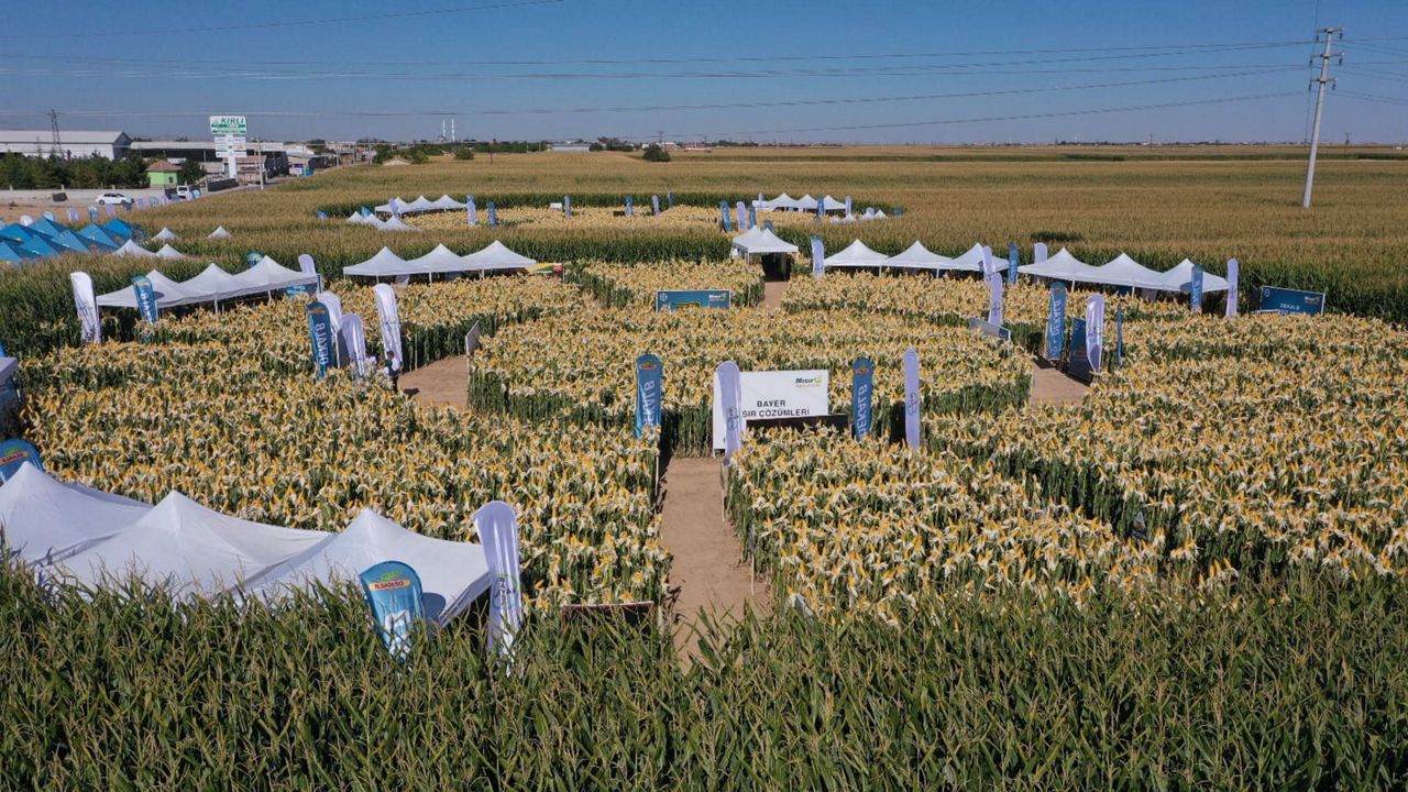 BAYER Agro Arena Etkinliğinde Aksaray’da 1500 Mısır Çiftçisiyle Buluştu!