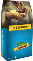 DK Exstorm - Hibrit Kanola Tohumu