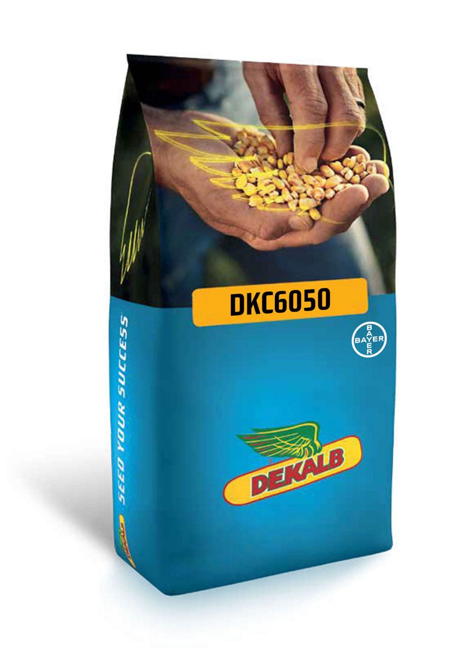 DKC6050 - Erkenci Danelik Mısır Tohumu