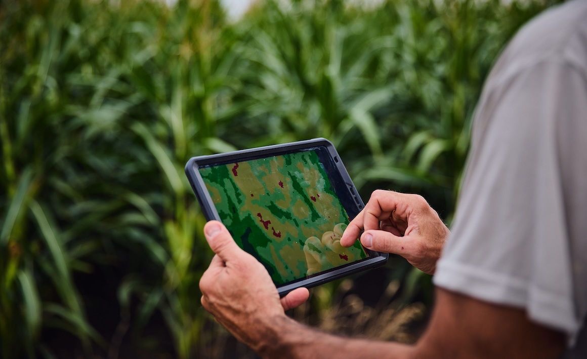 DEKALB Smart Ekim – Toprak Haritalama
