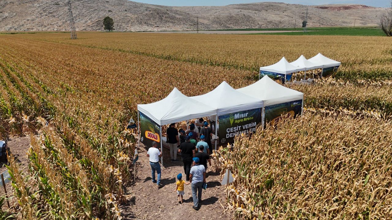 Bayer, Agro Arena Etkinliğinde Hatay’da Binin Üzerinde Mısır Üreticisiyle Buluştu
