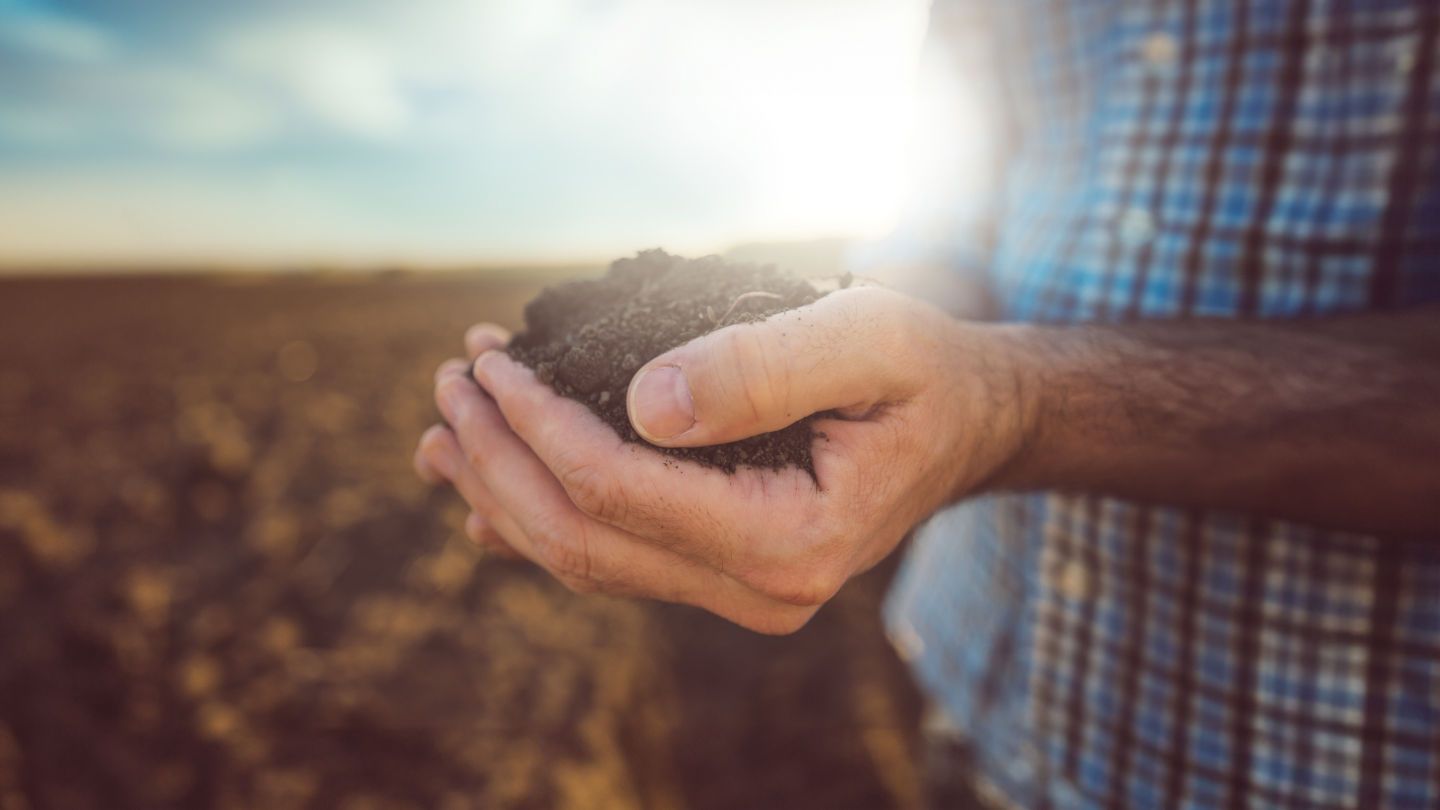 Default Article Header Image